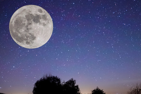 Full moon. stars. super full moon. Full moon with the background full of stars in the galaxy. Landscape photography. The Galaxy. With silhouette of trees. Strawberry moon. Photo.の写真素材