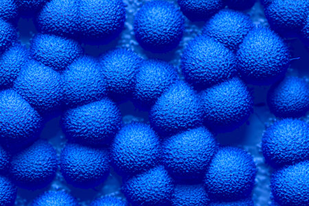 Bacterium. Close up of 3d microscopic bacteria. Colony bacteria. bacterium. Prokaryotic microorganisms. 3d illustration. Banner. Genetic mutation in bacteria can lead to antibioticの写真素材