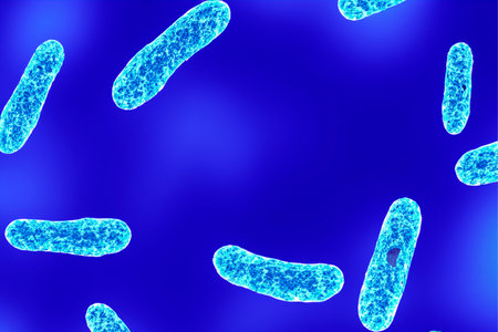 Bacterium. Close up of 3d microscopic bacteria. Colony bacteria. bacterium. Prokaryotic microorganisms. 3d illustration. Banner. Genetic mutation in bacteria can lead to antibioticの写真素材