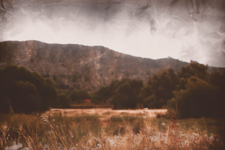 Analog photography. Landscape. Landscape with analog photography.の素材