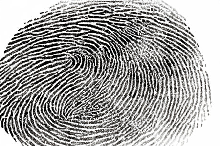 Fingerprints. Digital fingerprinting. Dactyloscopy is a technique that allows the identification of...