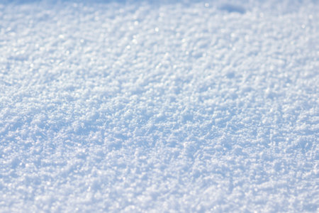 Snow. White blanket of snow. Winter concept. Snow covered streets. White cloak Christmas concept. Winter road and landscape of frozen trees. Free space for your decoration. sceneryの素材