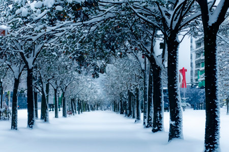 Snow. White blanket of snow. Winter concept. Snow covered streets. White cloak Christmas concept. Winter road and landscape of frozen trees. Free space for your decoration. sceneryの素材