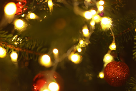 Christmas lights. Lights. Colored lights adorning the streets of the city on holidays. Bock effect. Background. Circular reflections of Christmas lights. Close up of tree backgrounの素材