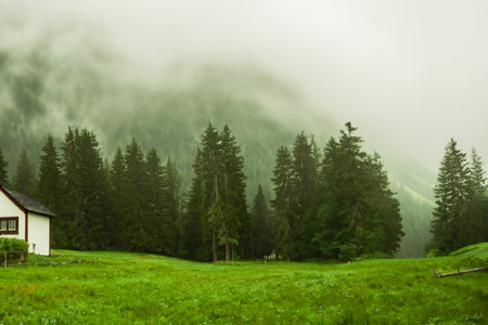 Isolated house in the mountains, beautiful typical northern European house in a lush, green landscape with fog. Beautiful summer landscape with green meadows and house in the mountの写真素材