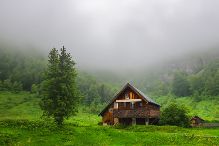 Isolated house in the mountains, beautiful typical northern European house in a lush, green...