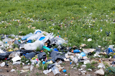 Rubbish. Liter. Garbage in nature. Group of eco volunteers picking up plastic trash in park....