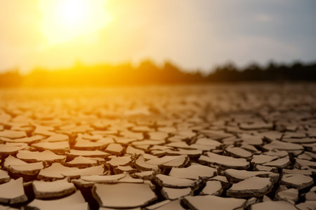 Drought. Desert landscape with cracked soil. Global ecology concept. Drought. Desert landscape with...
