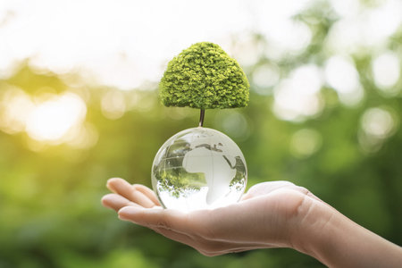 Eco concept. Hand holding glass globe ball with tree growing and green nature blur background.の写真素材