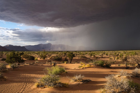 Rain in the desert. Rain in the Sahara Desert. A week of heavy rain is coming in the Sahara Desert. Record high. 2024. Affected countries include Algeria, Mali, Libya and parts ofの写真素材