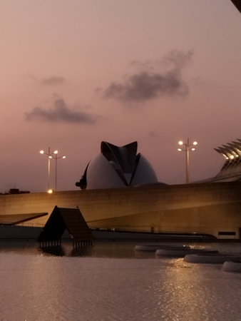 City of Arts and Sciences. In Valencia. Oceanographic. Museum of Science. Hemisphere. Palau de les arts de Valencia. Buildings designed by Santiago Calatrava.の写真素材