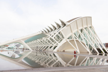 City of Arts and Sciences. In Valencia. Oceanographic. Museum of Science. Hemisphere. Palau de les arts de Valencia. Buildings designed by Santiago Calatrava.の写真素材