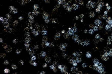 Fireworks. Colorful celebration fireworks isolated on a black sky background. From below, shot of...