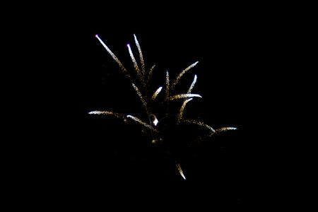 Fireworks. Colorful celebration fireworks isolated on a black sky background. From below, shot of wonderful and vivid fireworks exploding.の写真素材