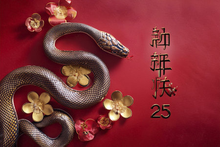 Chinese New Year. Chinese New Year 2025. 2025. Year of the Snake. With the text 2025. 2025....