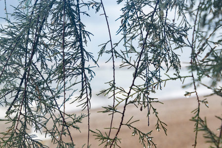 Floods in Spain caused by intense rain storm and DANA. Torrential rain and storm cause flooding in several regions. July 2025の写真素材