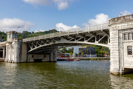 Panoramic Views of Bilbao with Tower, Guggenheim Museum and NerviÃ³n River