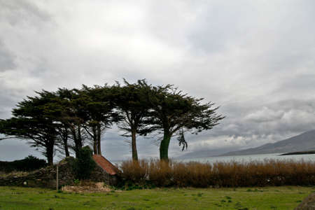 Typical Irish landscape on windy day in Dingle peninsula, Brandon headの写真素材