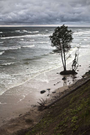 Baltic coast with eroded coastline in the place of former beach due to the climate warmingの写真素材