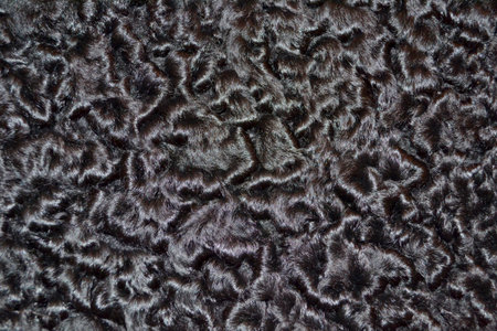 Closeup karakul fur texture to background