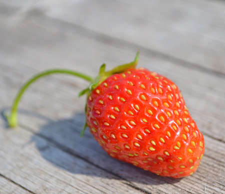 one fresh red strawberryの写真素材