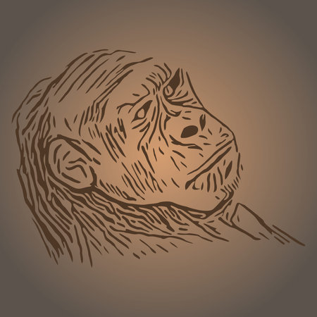 black and white linear paint draw monkey vector illustrationのイラスト素材