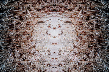 abstract kaleidoscope background.の写真素材