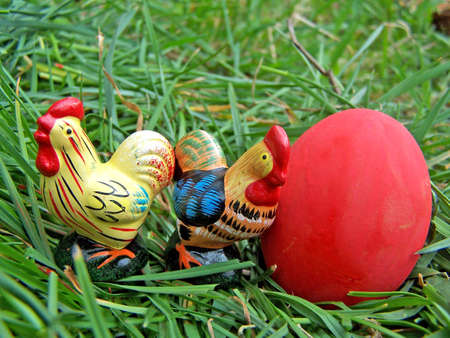 Two Chickens with red easter egg on the grassの写真素材