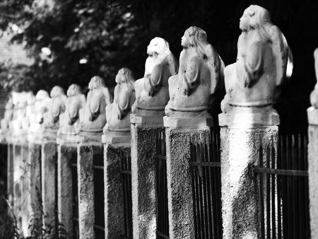 old black and white fence with angels prayingの写真素材