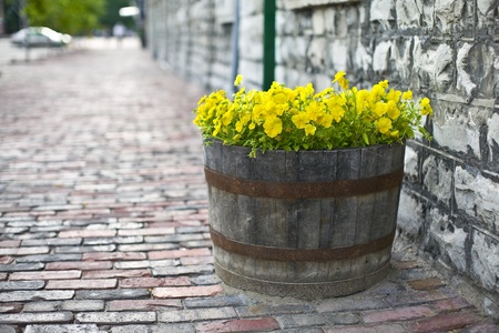 Summer flowers in a wooden barrel. Selective focus, shallow DoFの写真素材