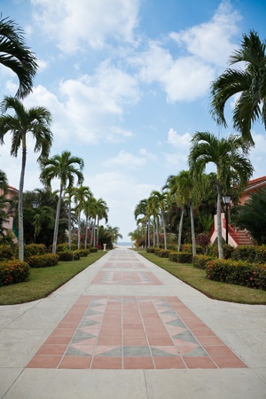 Promenade in the Caribbean tropical resortの写真素材