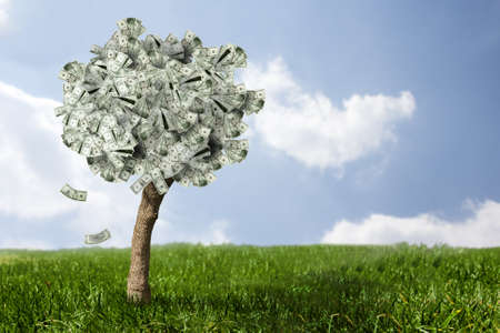photo of money tree made of dollarsの写真素材