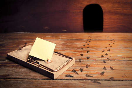 activated mousetrap with blank message instead of cheeseの写真素材