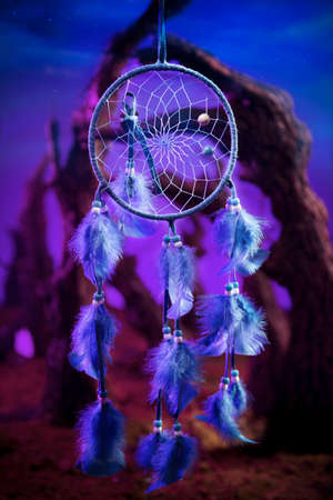 Dreamcatcher hanging in a forest at nightの写真素材