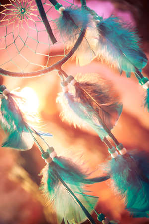 dream catcher on a magical forestの写真素材