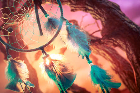 dream catcher on a magical forestの写真素材