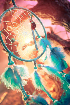 dream catcher on a magical forestの写真素材