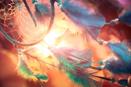 dream catcher on a magical forestの写真素材
