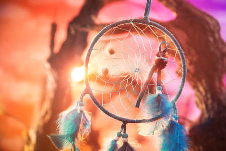 dream catcher on a magical forestの写真素材