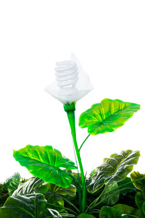 Ecological concept, earth friendly light bulb plant isolated on white