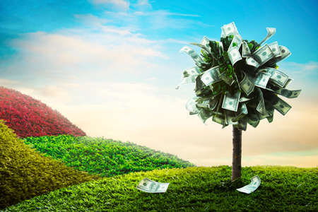 photo of tree made of dollars photo of tree made of dollars