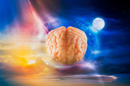 Human brain floating in the skyの写真素材