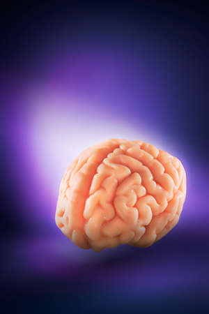 Human brain floating on a purple backgroundの写真素材