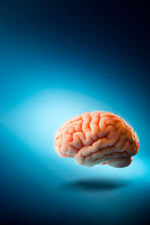 Human brain floating on a blue backgroundの写真素材