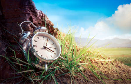 alarm clock sitting in the grass on a sunny dayの写真素材