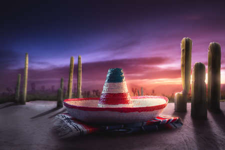 High contrst image of Mexican hat on a "serape" in a desert at nightの写真素材