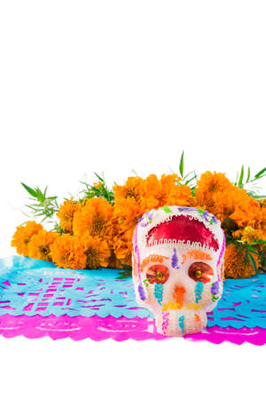 sugar skull used for "dia de los muertos" celebration isolated on white with cempasuchil flowersの写真素材