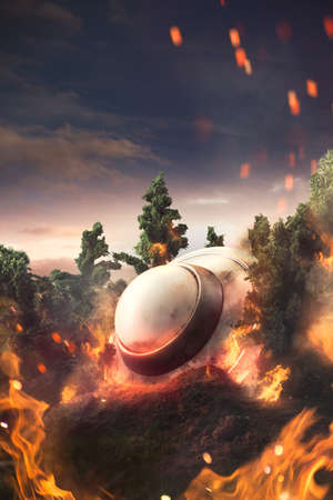 UFO crash in the forestの写真素材