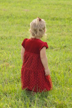 Little girl in a holiday red dress walking in a field of grassの写真素材