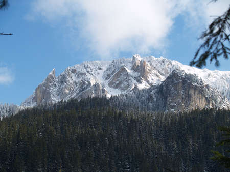 winter landscape in carpathiansの写真素材